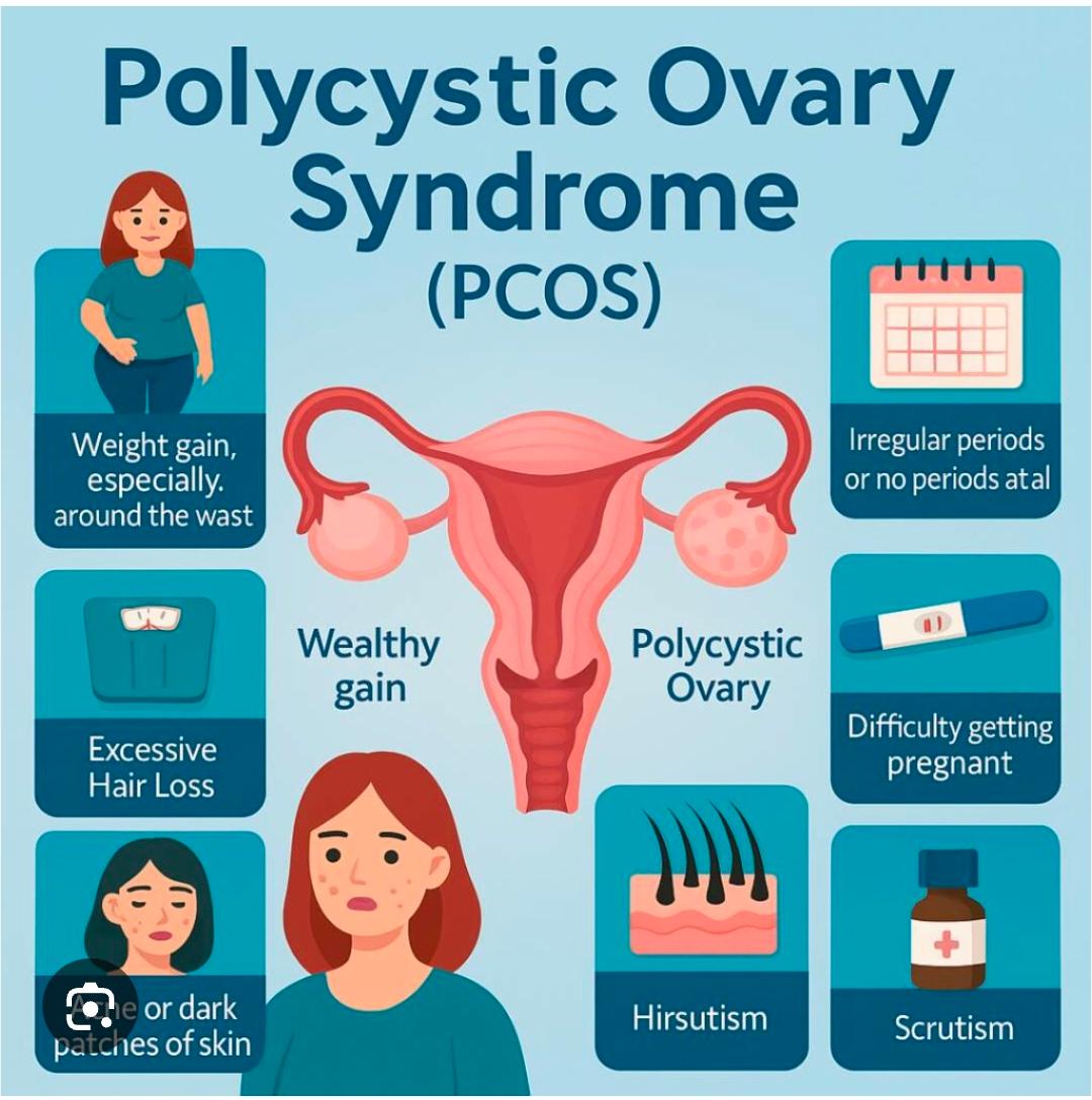 Maternity Care