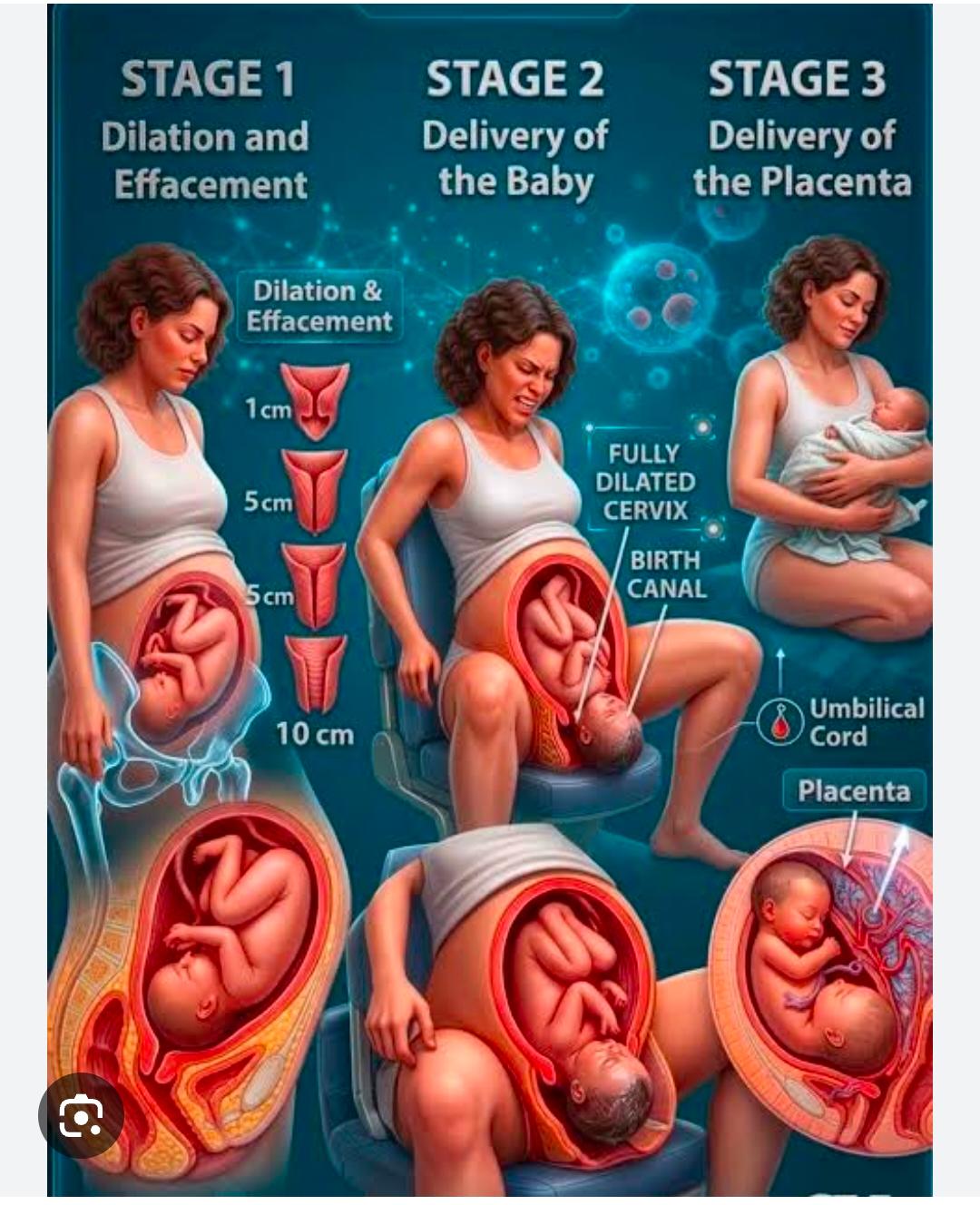 Pregnancy Care