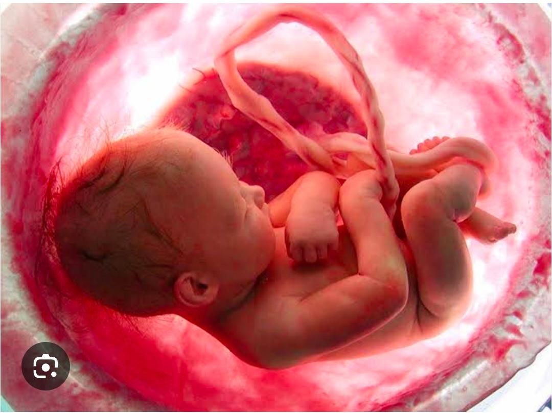 Maternity Care